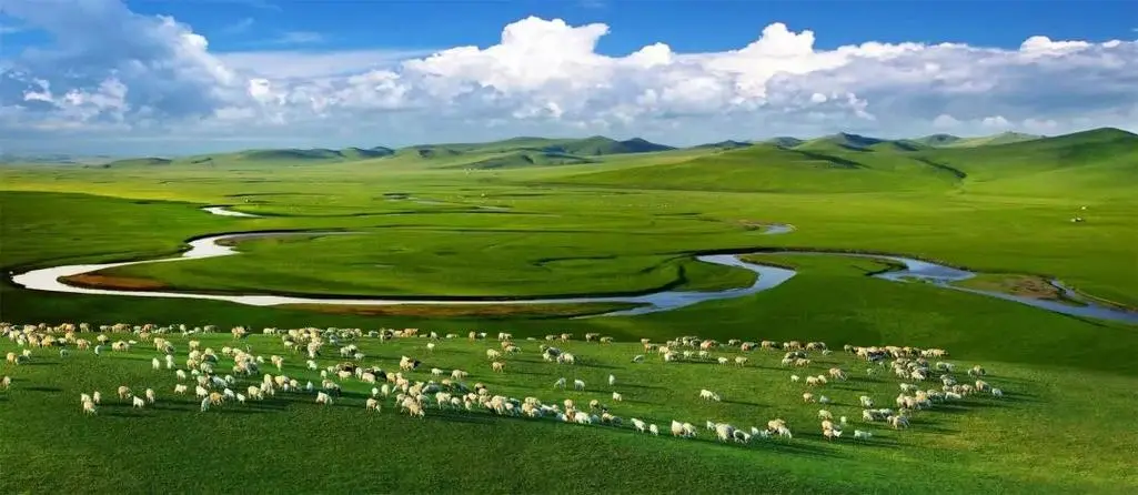 Hulunbuir Grassland